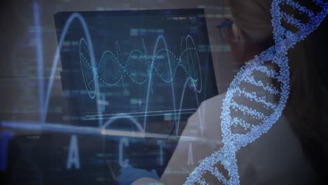 Dna-structure-spinning-and-medical-data-processing-against-rear-view-of-female-doctor-using-computer