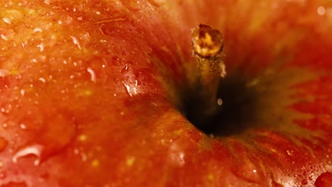 toma de detalle de gotas de agua y tallo en una manzana roja