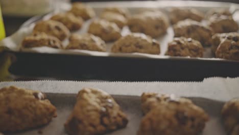 freshly baked chocolate chip cookies on baking tray