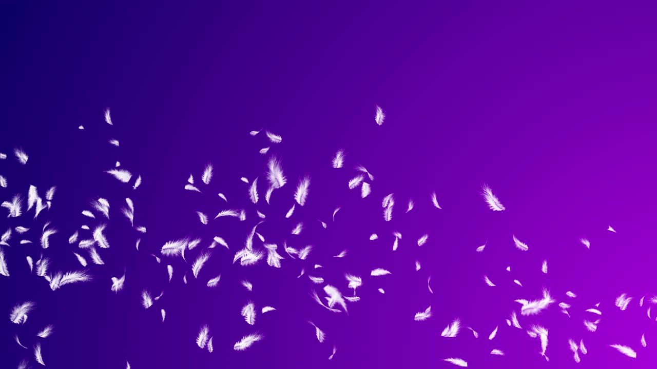 Beautiful abstract feathers macaw on a white background soft fur natural backdrop romantic textile