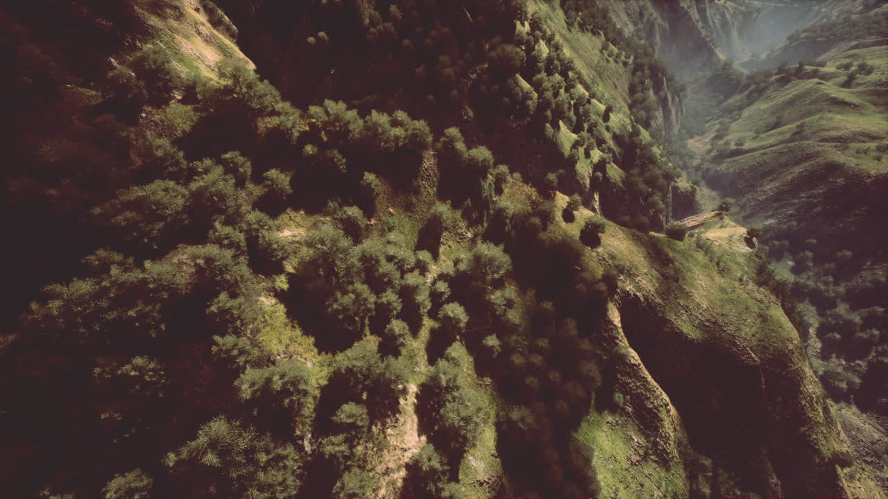 disparo de un arroyo en medio de bosques verdes rodeados de colinas