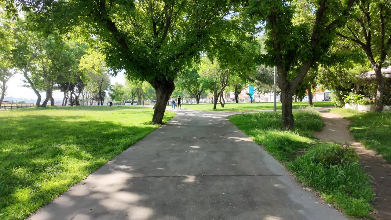 Park Pathway with Green Trees and Grass
