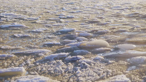 melted ice blocks rippling in freezing sea on sunny day, medium shot