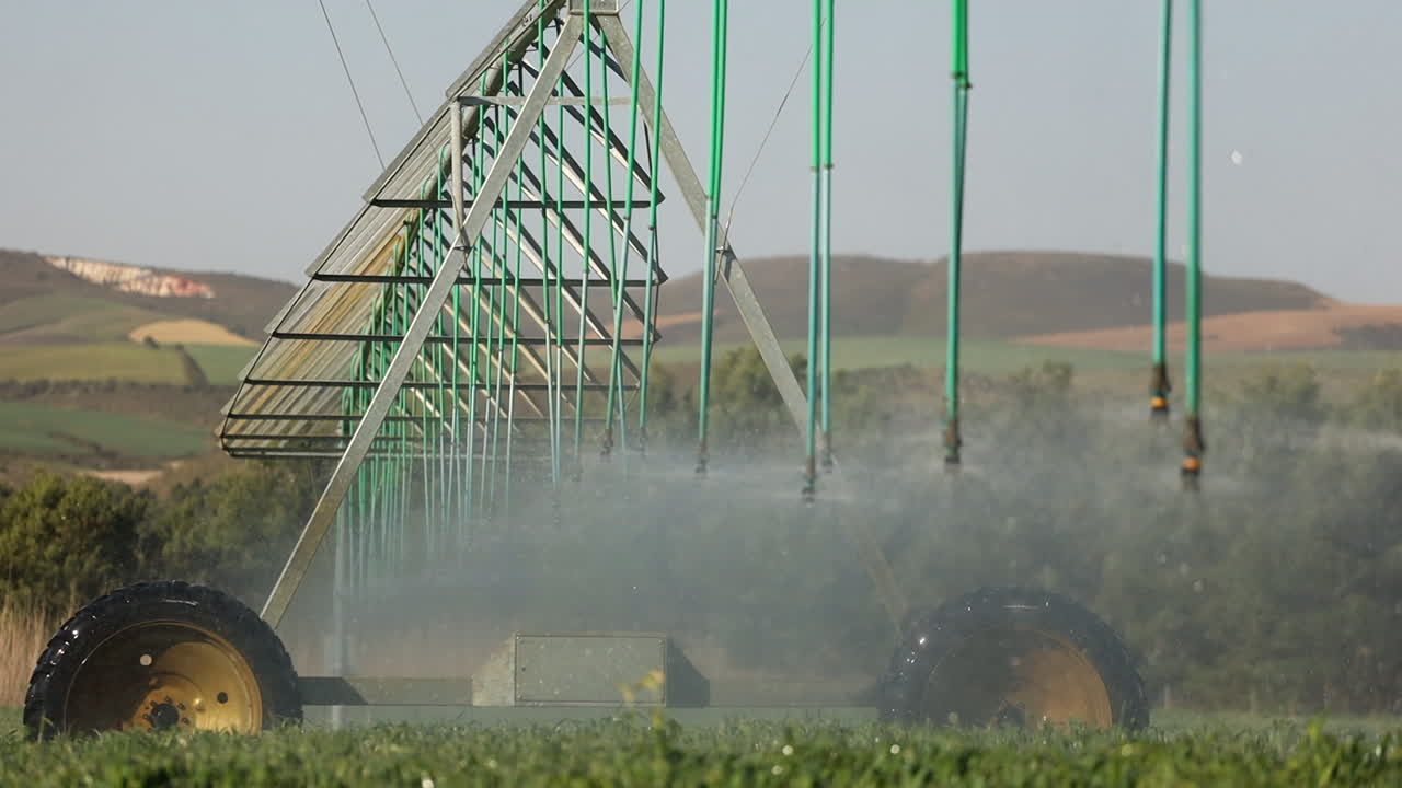 Ugelli degli irrigatori spruzzano acqua su un campo di grano basso e verde