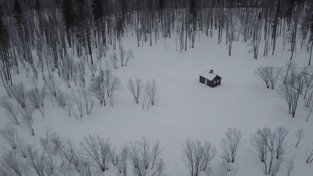 Aerial video captures a solitary cabin surrounded by a snowy forest