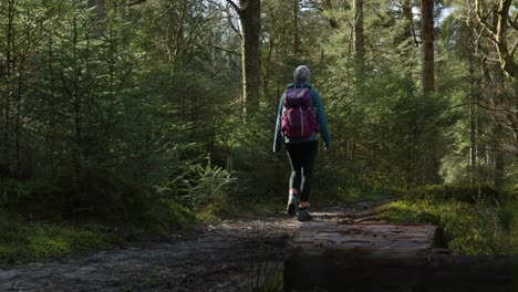 Una-Mujer-Pasa-Frente-A-Una-Cámara-A-Nivel-Del-Suelo-Mientras-Camina-Por-Un-Exuberante-Bosque-Verde-De-Coníferas-Mientras-Los-Rayos-Del-Sol-Resaltan-Los-árboles-Y-El-Sendero-Para-Caminar