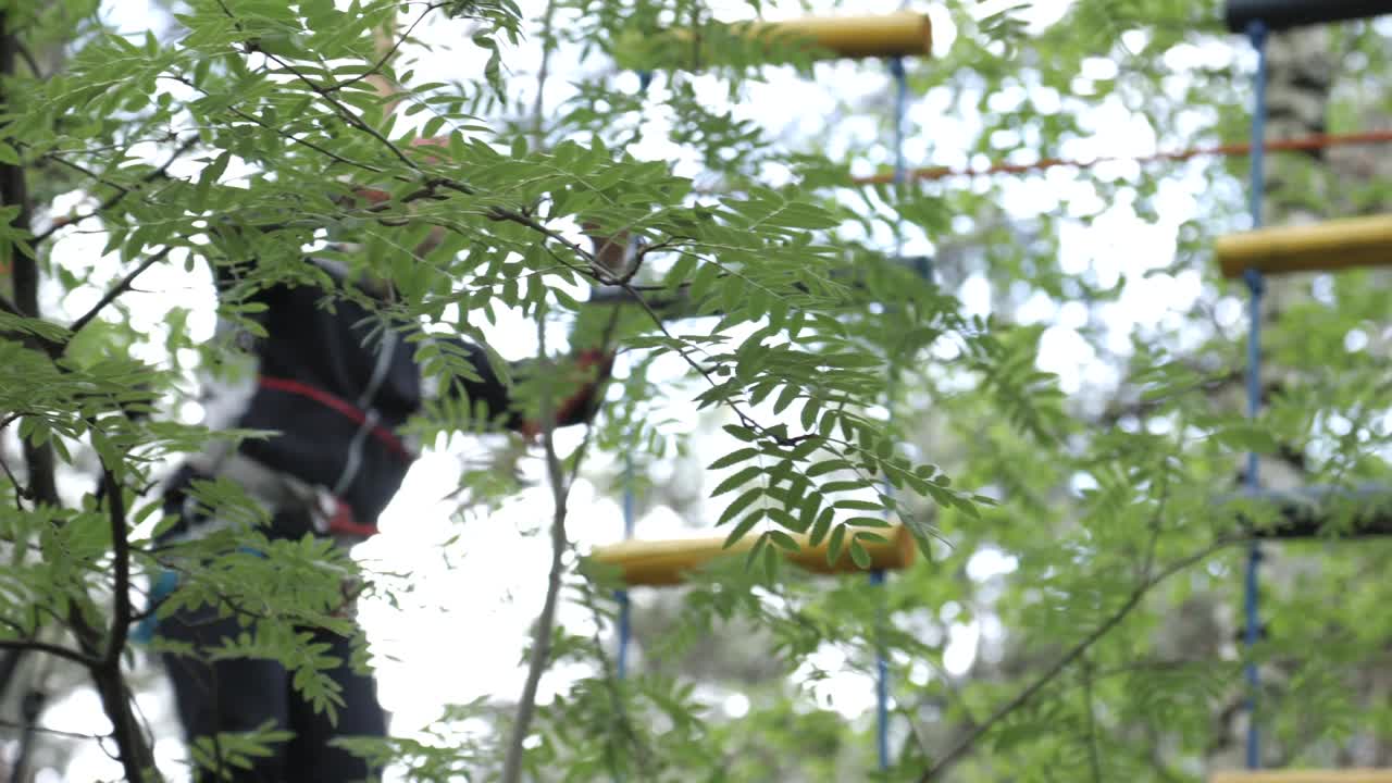 Treetop Adventure Park