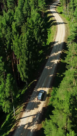 aerial view of a car driving on a winding dirt road through a lush forest