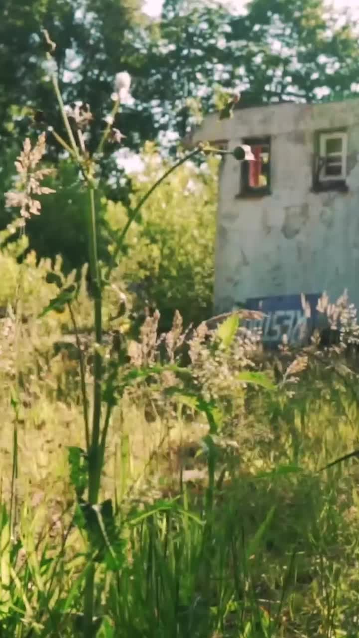 시골 환경에서 버려진 집