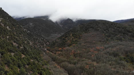 mountain valley with fog and autumn colors