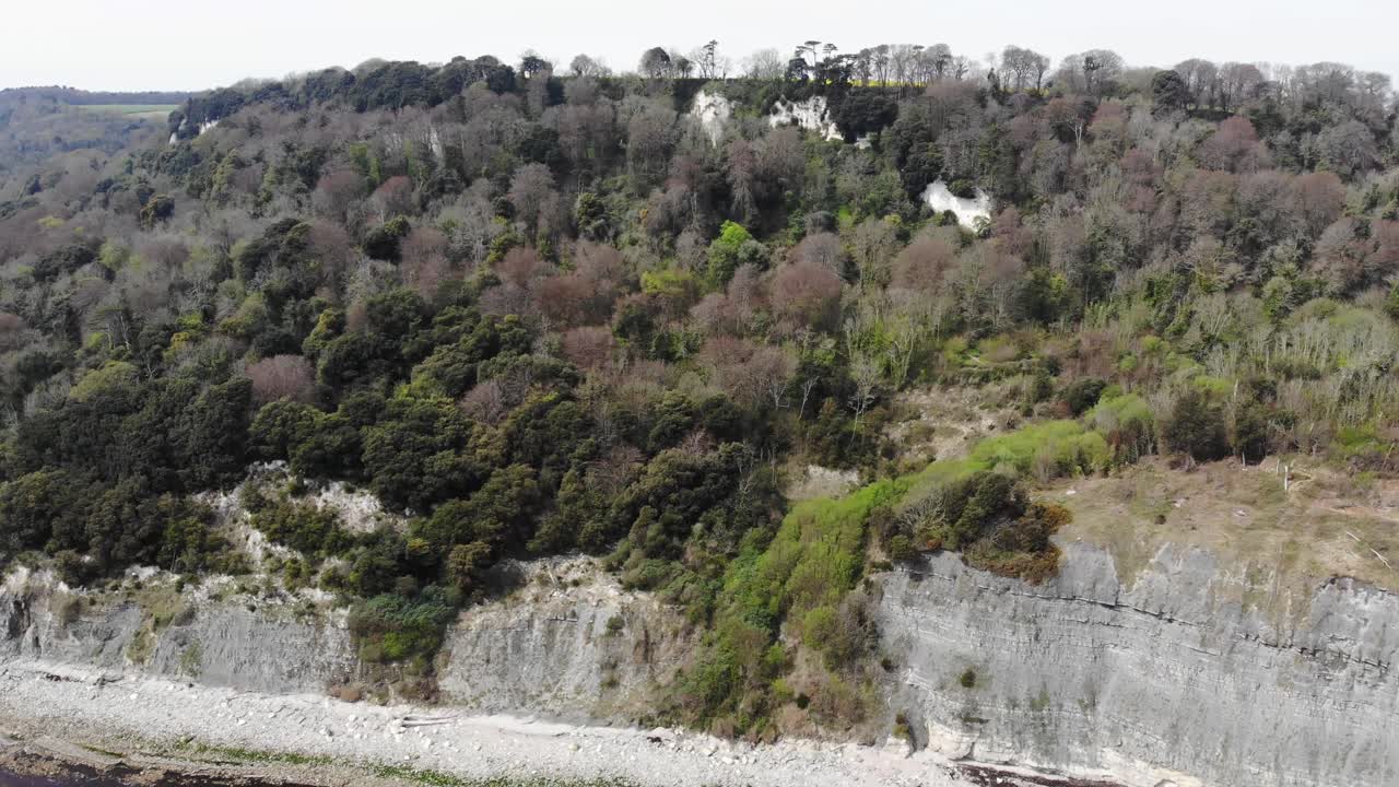 Aerial perspective showcasing the rugged coastline and lush greenery of the Seaton undercliffs near Lyme Regis, highlighting natural beauty. Push Forward, Pan Right