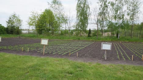 tierras de cultivo y campos de cultivo en el asentamiento de biskupin en polonia