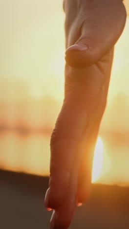 hand at sunset
