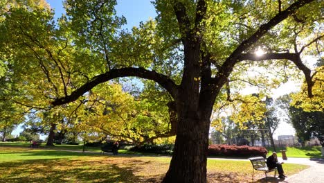 gente disfrutando de un día soleado en el parque de melbourne