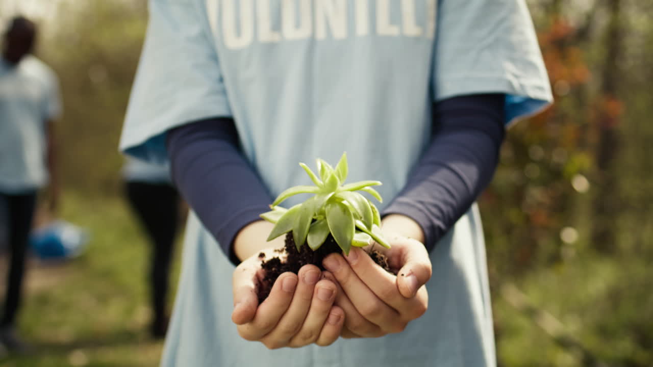 niño voluntario sosteniendo una pequeña plántula con suelo natural en las manos