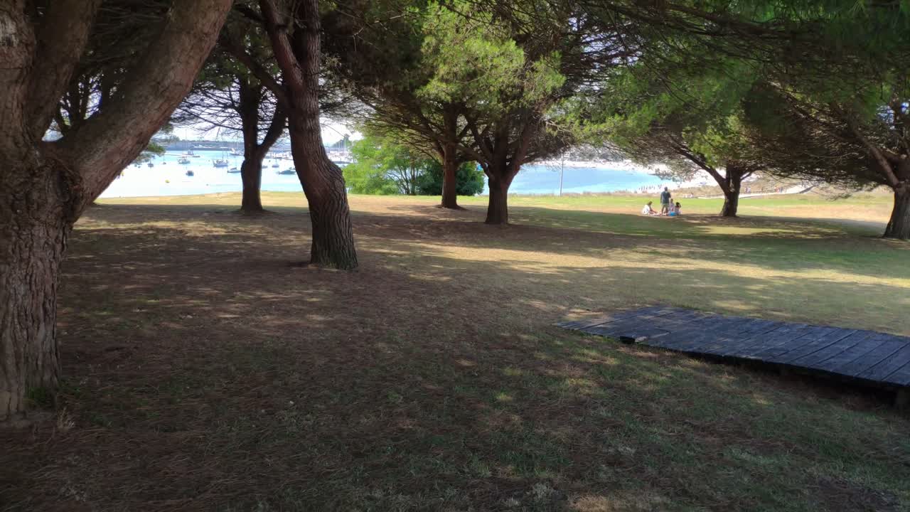 Persone che riposano sotto gli alberi con la spiaggia e le barche sullo sfondo in una soleggiata giornata estiva