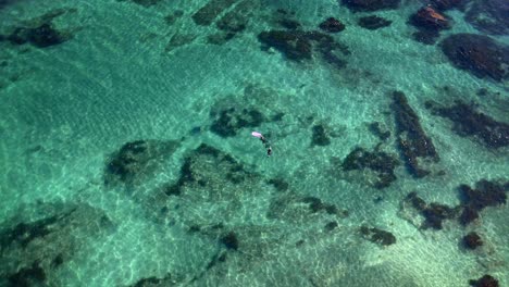 Kreisende-Luftaufnahme-über-Touristen,-Die-Schnorcheln-Goat-Island-Marine-Reserve-Glitzerndes-Kristallklares-Türkisfarbenes-Wasser,-Neuseeland