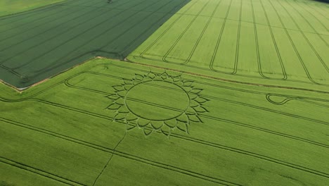 campo de trigo verde con círculo de flores en el pueblo de potterne, condado de wiltshire, inglaterra