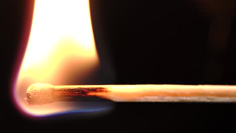 slowmotion macro shots of matches being lit and running out creating different shapes