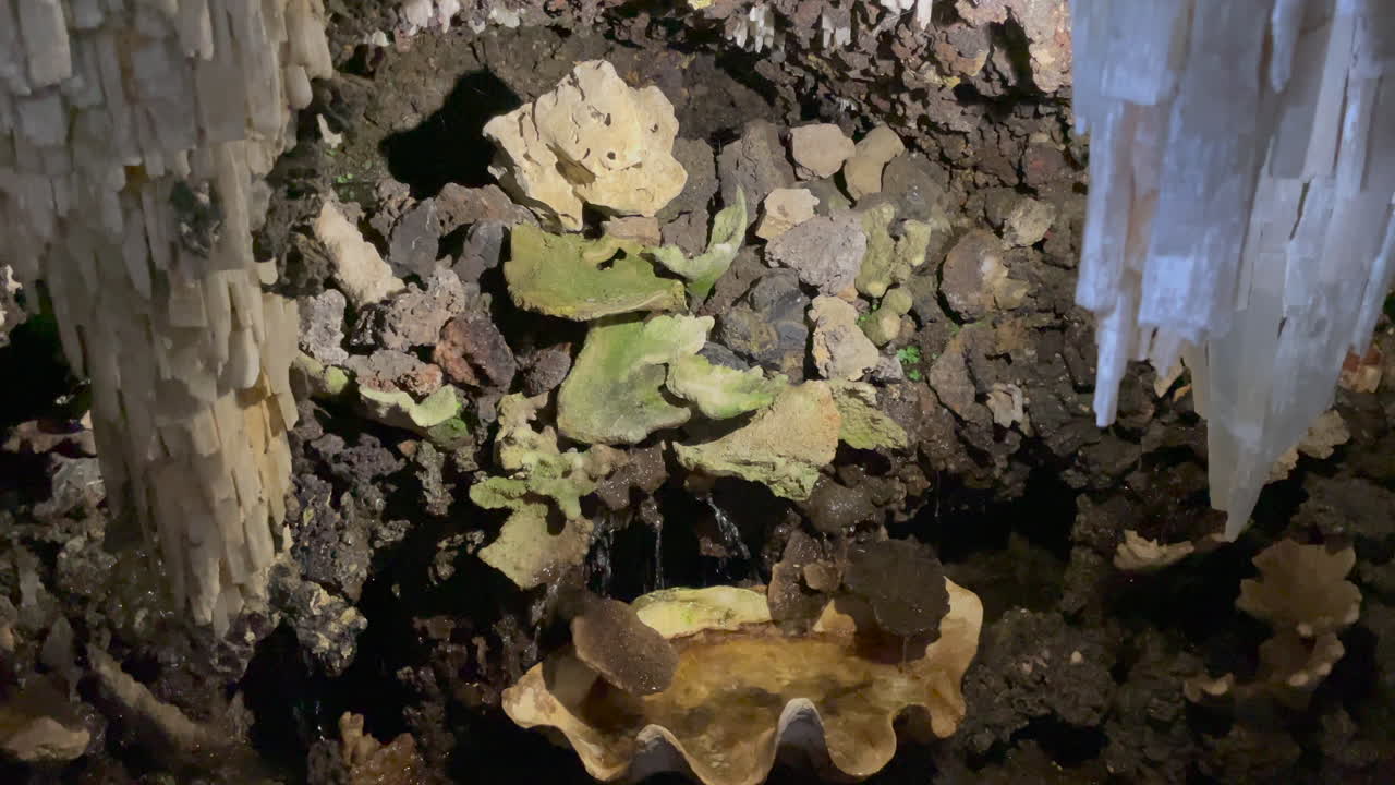 Wide shot if a man made water feature inside a cave, shaped like a clam shell