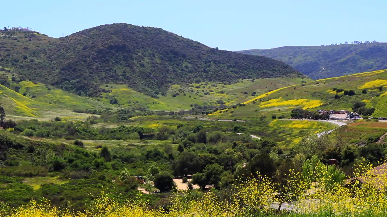 vista en la cima de una colina de un valle con pastos verdes y flores silvestres amarillas con montañas y cielos azules en un día de primavera