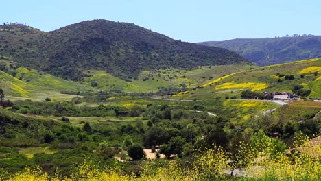 Hilltop-view-of-a-valley-with-green-pastures-and-yellow-wild-flowers-with-mountains-and-blue-skies-on-a-spring-day