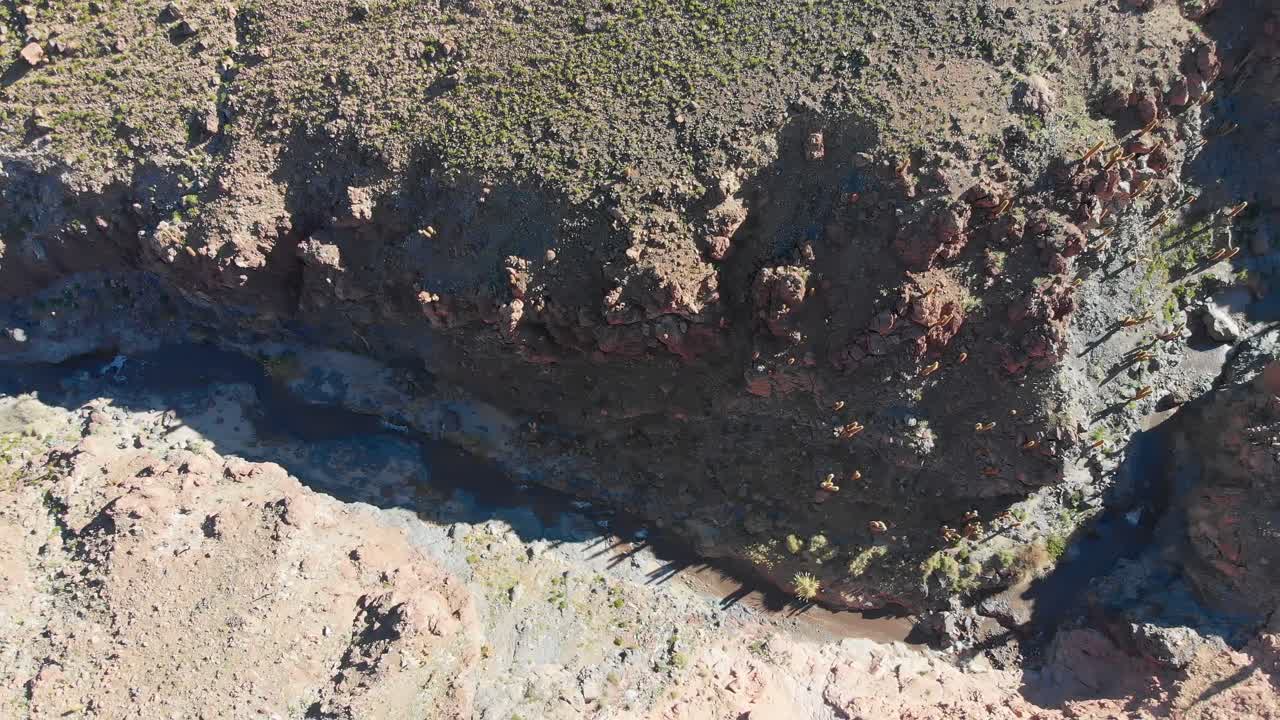 vista aérea superior del popular cañón de cactus gigante cerca de san pedro de atacama en el desierto de atacama, norte de chile, sudamérica