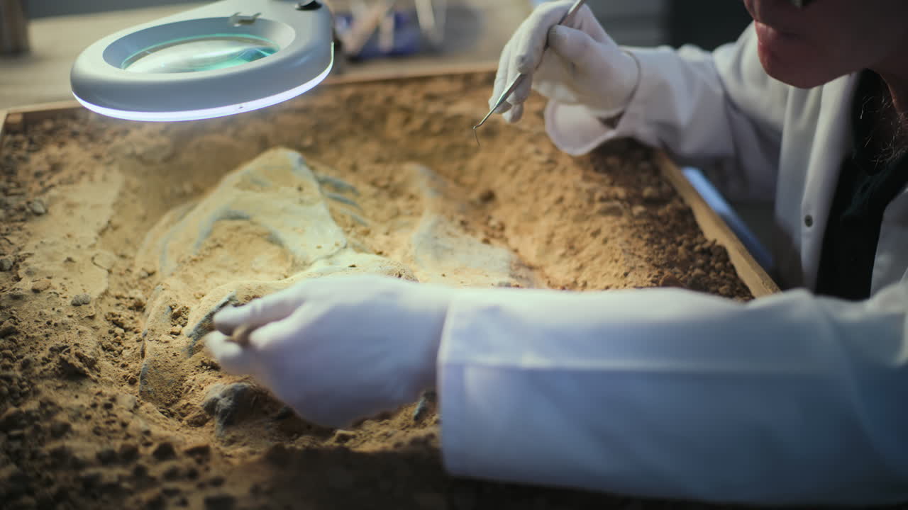 Paleontologist Excavating and Preparing Dinosaur Fossil