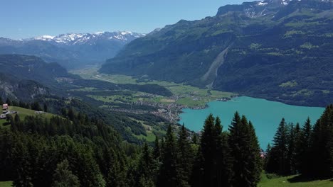 brienzersee en suiza desde arriba