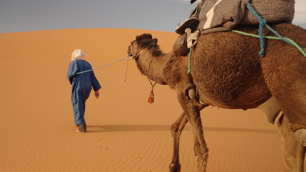 A Moroccan guide in blue robe leads a saddled dromedary through Sahara sands