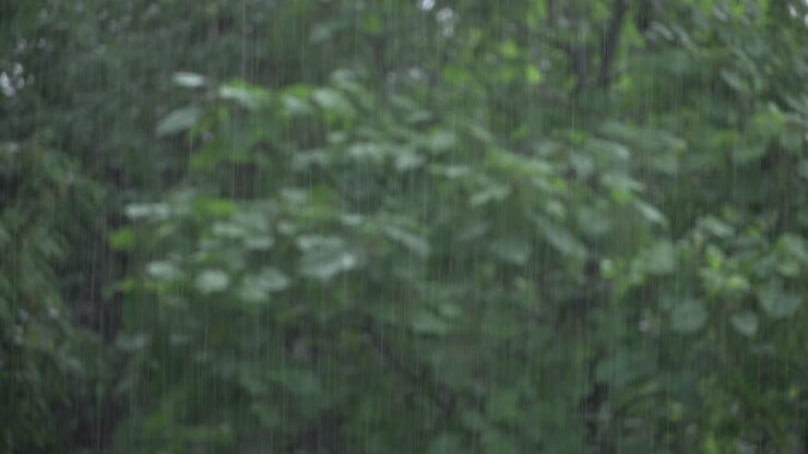 Rainfall with blurry background in summer