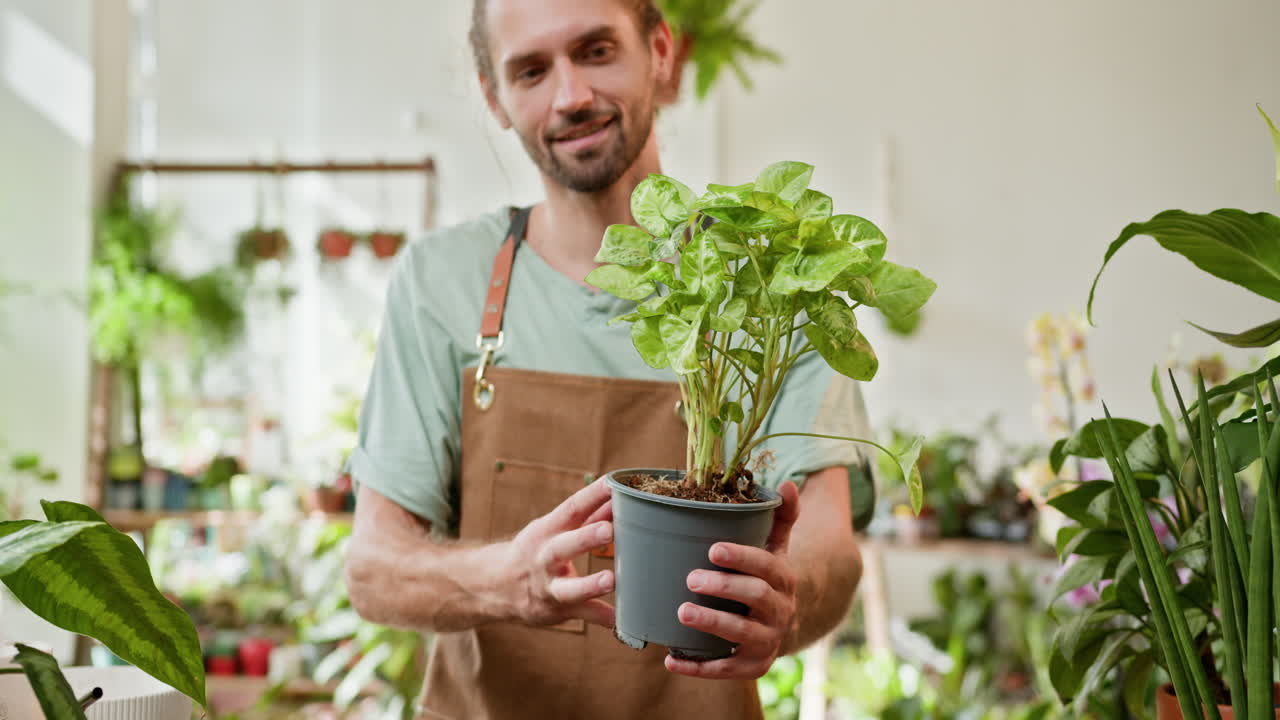 empleado de la tienda de plantas mostrando una hermosa planta de interior