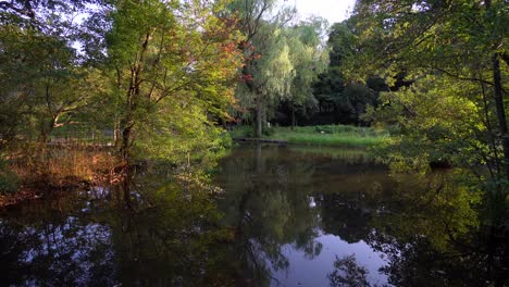 Sommersonnenuntergänge-Im-Shakujii-Park-In-Tokio-Sind-Sehr-Ruhig-Und-Friedlich,-Um-Lange-Zeit-Zu-Verbringen