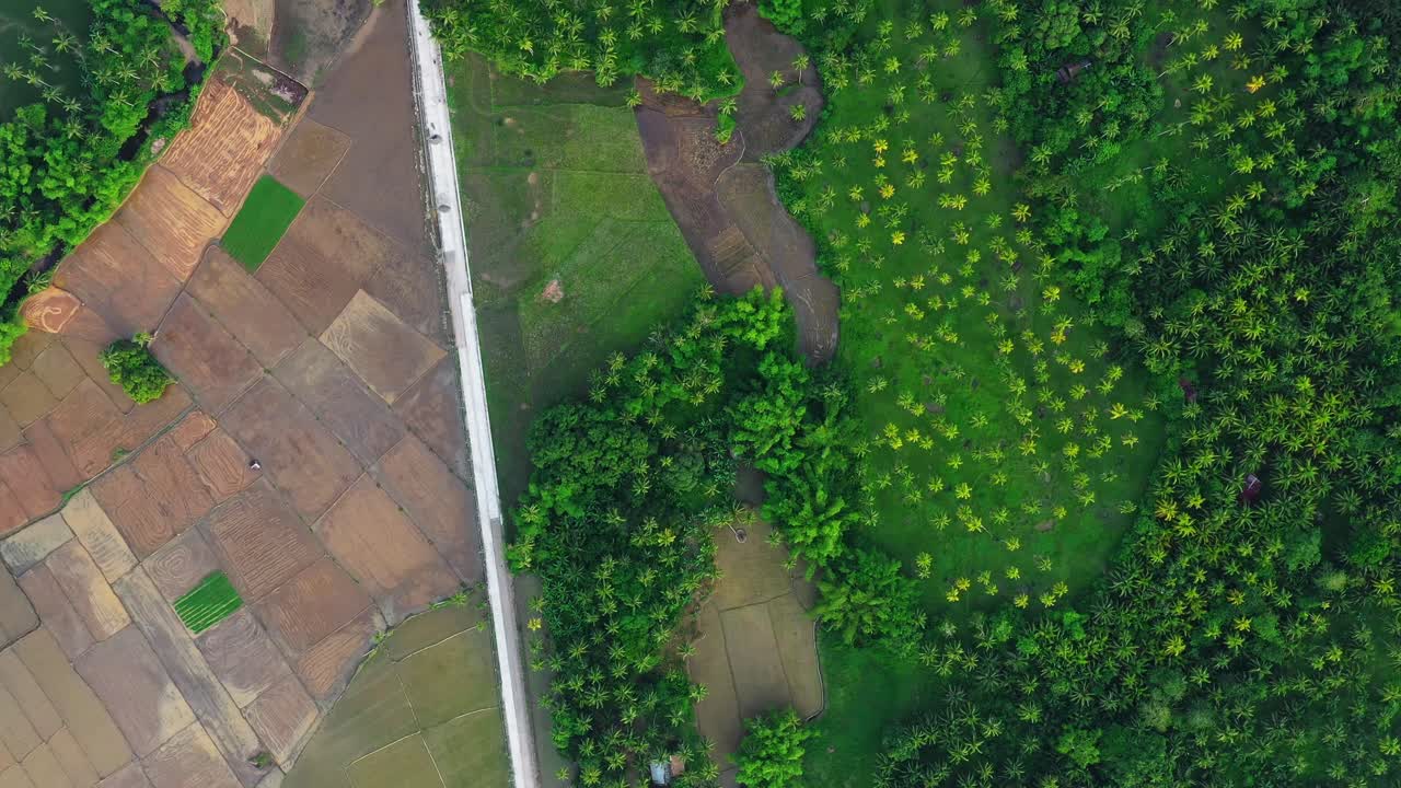 antena de una pista entre campos y exuberantes copas de los árboles en san bernardo en el sur de leyte, filipinas