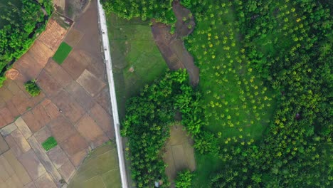 Antena-De-Una-Pista-Entre-Campos-Y-Copas-De-árboles-Exuberantes-En-San-Bernardo-En-El-Sur-De-Leyte,-Filipinas