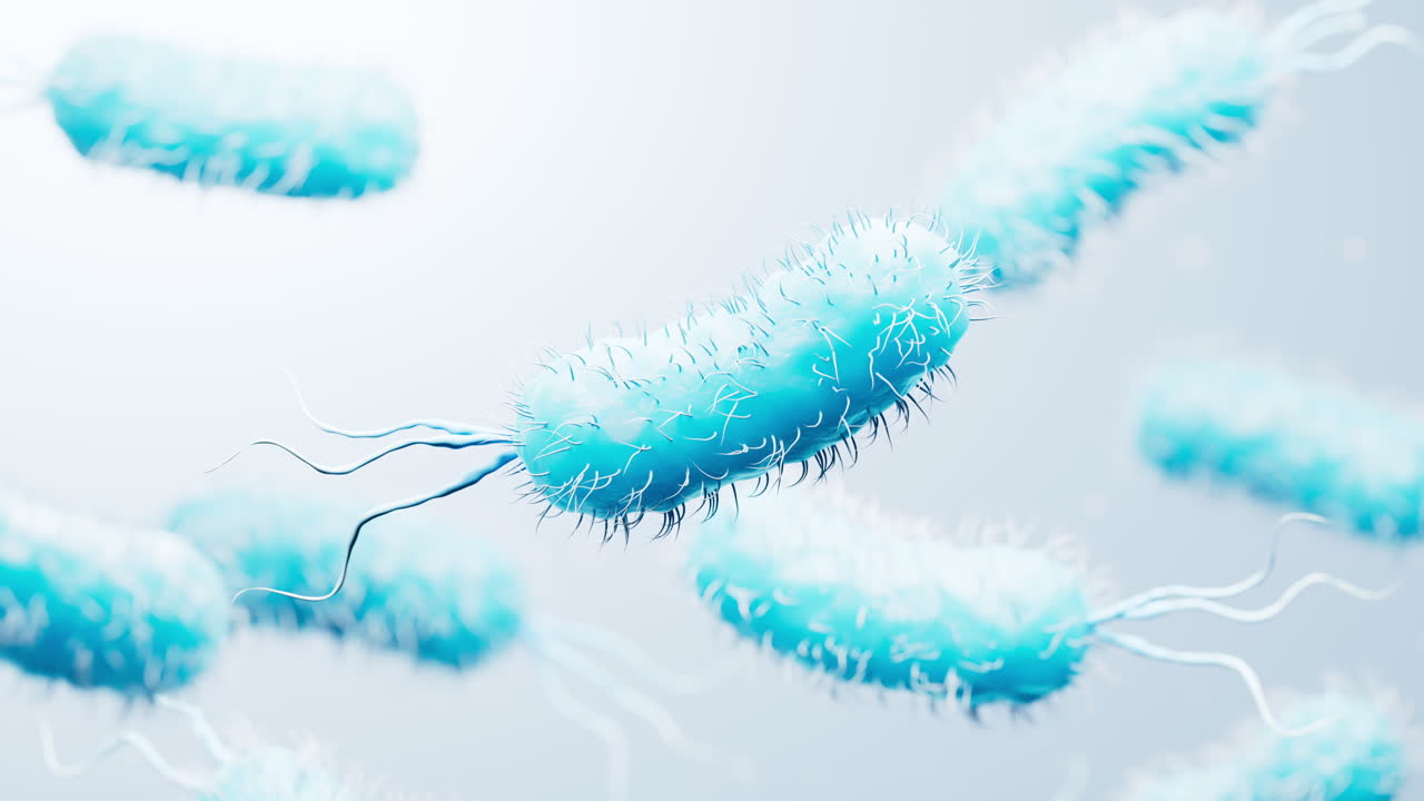 Microscopic biomedical bacteria structure, 3d rendering