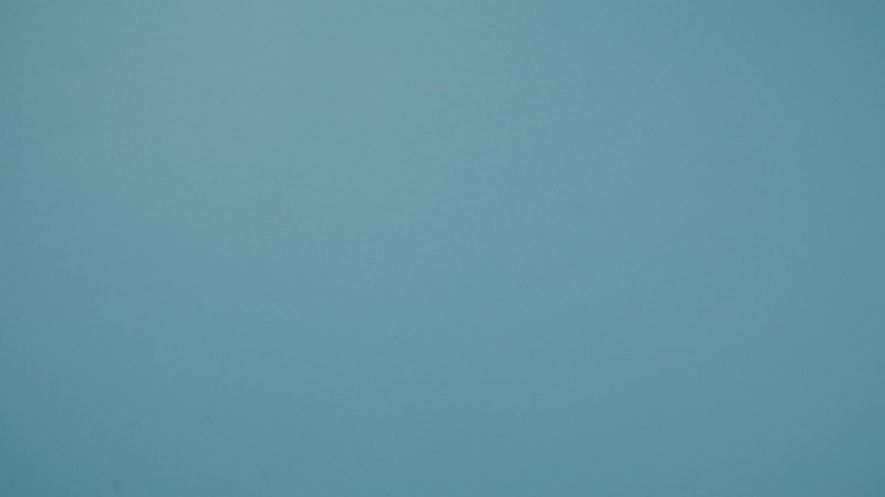 Appetizer Dish with Ornamental Sauce