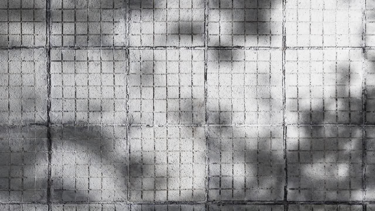 Moving Shadows of Leaves on a Textured Concrete Wall