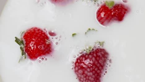 fresas rojas brillantes cayendo y salpicando leche