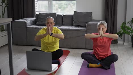 active mature couple performing stretching exercise by online workout lessons using laptop