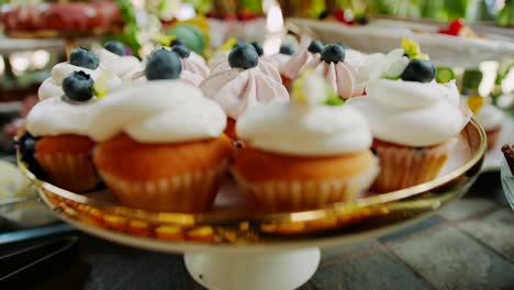 Pastelitos-De-Crema-De-Frutas-En-Un-Plato-De-Postre,-Empujar-Hacia-Fuera