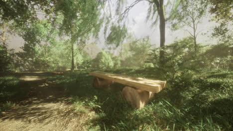 Wooden benches in a serene forest setting surrounded by greenery