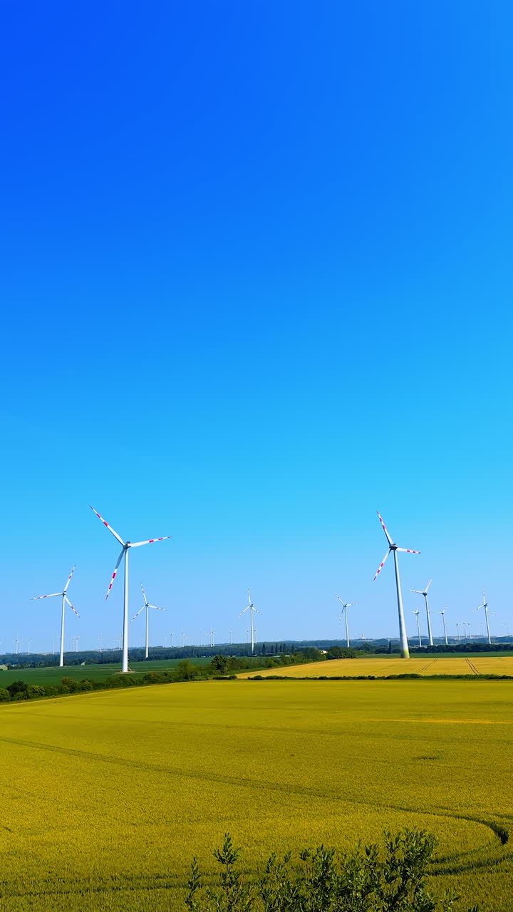 Clear day with wind turbines. Bright blue sky overlooks a green field with several wind turbines generating renewable energy in the distance