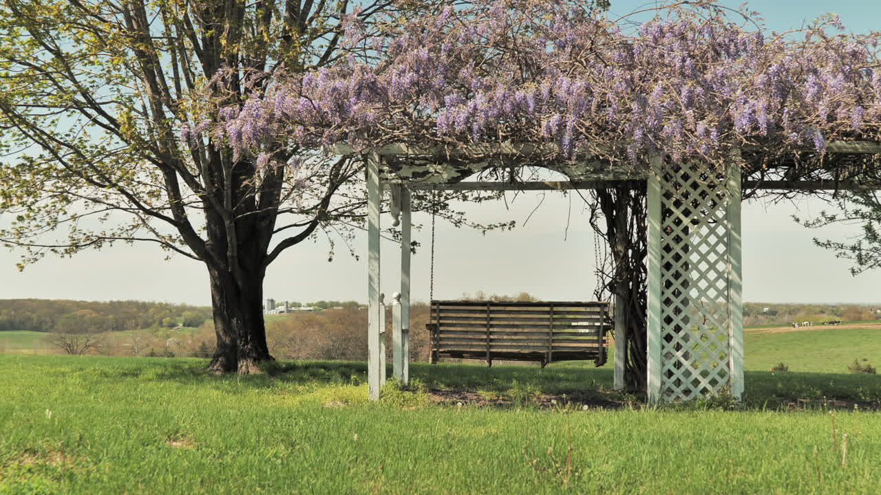 꽃이 만발한 나무 아래 외롭고 텅 빈 벤치 그네가 바람에 천천히 흔들린다