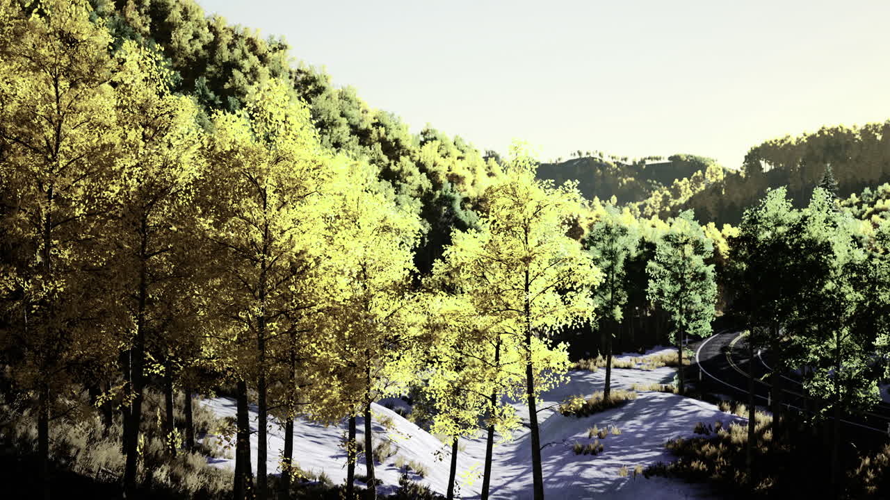 Nature landscape with trees along a winding path in autumn sunlight