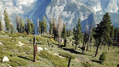 Luftaufnahme-Der-Wunderschönen-Landschaft-Am-Half-Dome-Im-Yosemite-Valley,-Usa