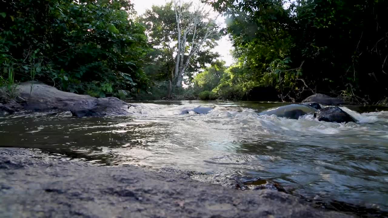 pequeño y hermoso río en medio del bosque en brasil