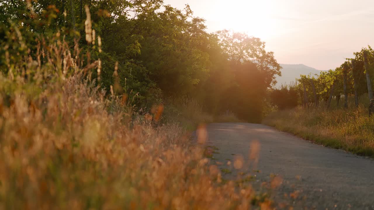 niclas dreier 크리에이티브의 4k 스톡 푸티지