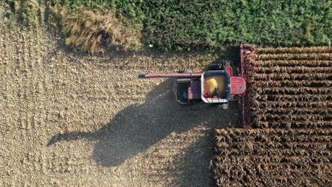 combine harvesting corn field