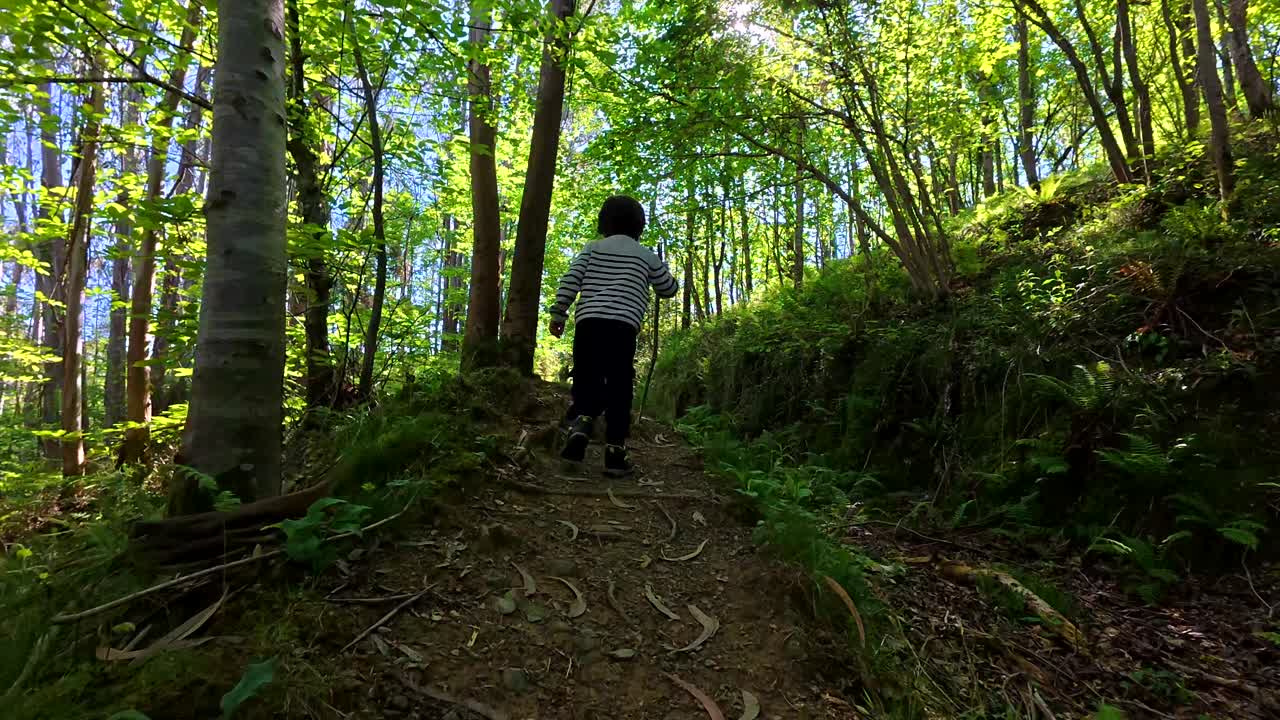 Boy Walking on a Forest Trail